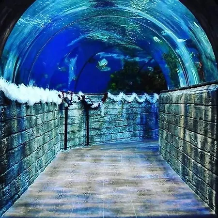 110 Sq.m. Stunning Penthouse With Large Terrace