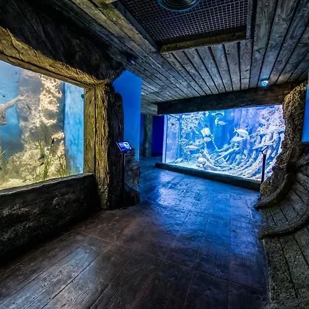 شقة 110 Sq.m. Stunning Penthouse With Large Terrace *