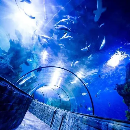 110 Sq.m. Stunning Penthouse With Large Terrace *