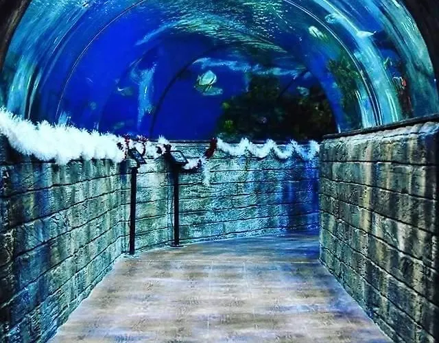 110 Sq.m. Stunning Penthouse With Large Terrace